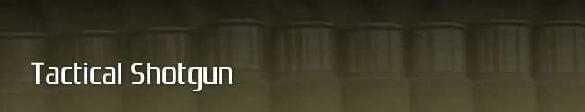 Tactical Shotgun